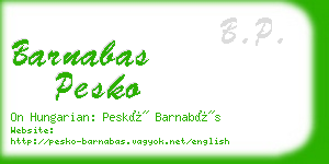 barnabas pesko business card